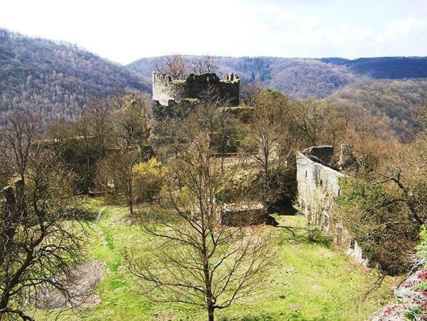 Garden Apartments Znojmo Bagian luar foto